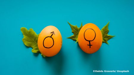 Gender mit credits geschlechtergerechte Steuerpolitik ist ein Ansatz für die Gleichstellung der Geschlechter